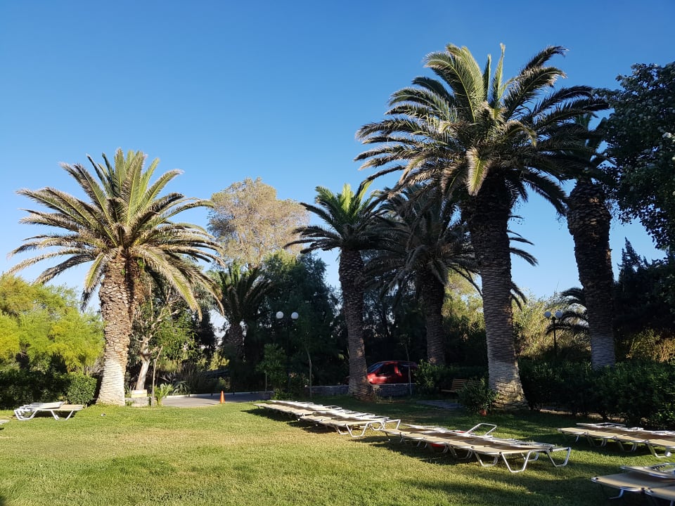 Gartenanlage Apollonia Beach Resort & Spa