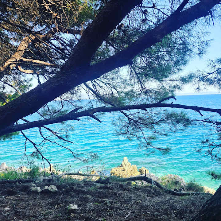 Ausblick Valamar Girandella Designed for Adults