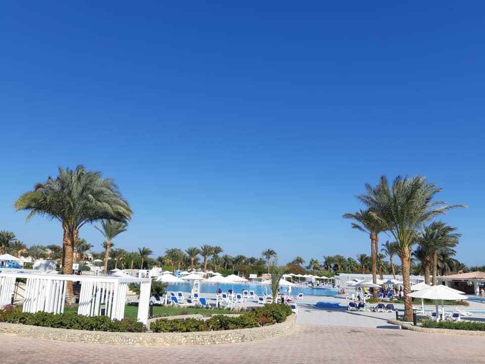 Pool Pharaoh Azur Resort