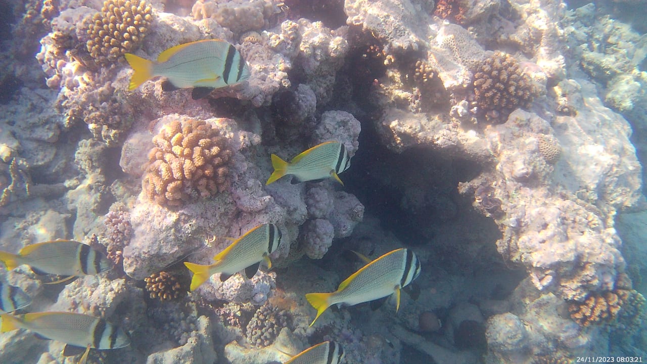 Sport & Freizeit Makadi Spa - Adults only