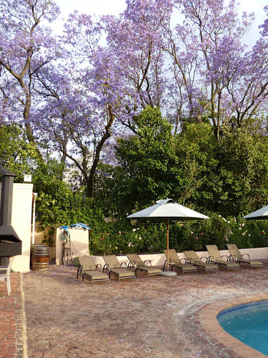 Pool De Leeuwenhof Hotel