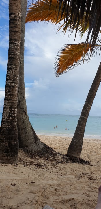 Strand TRS Turquesa Hotel - Adults only