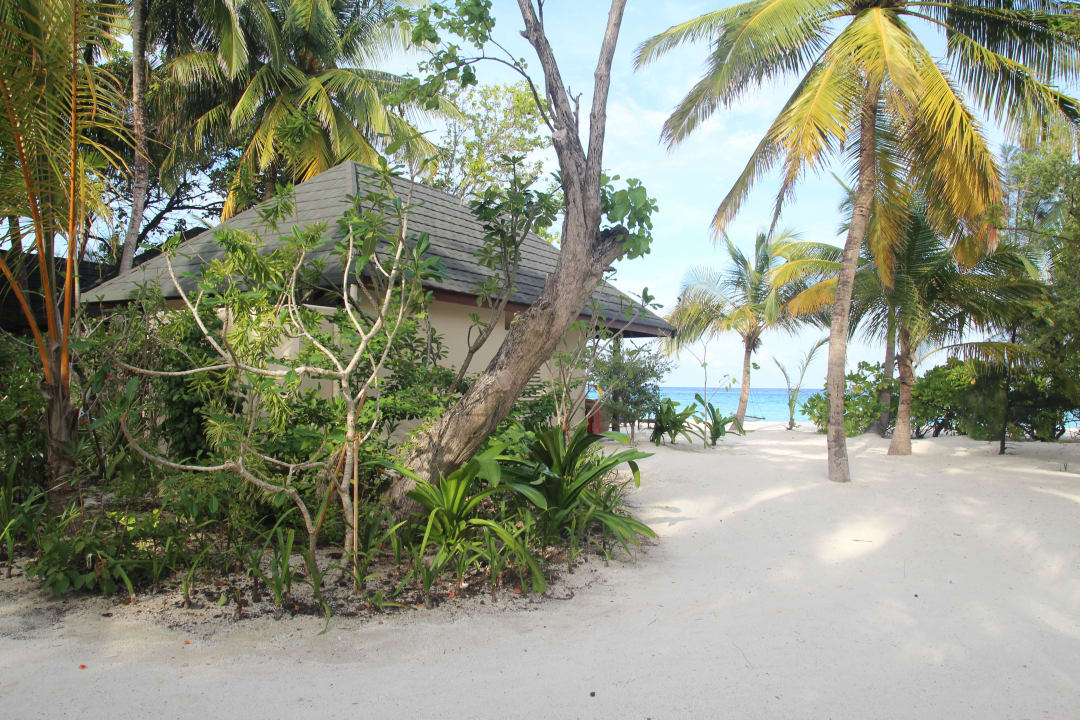 Vom Inneren der Insel Summer Island Maldives