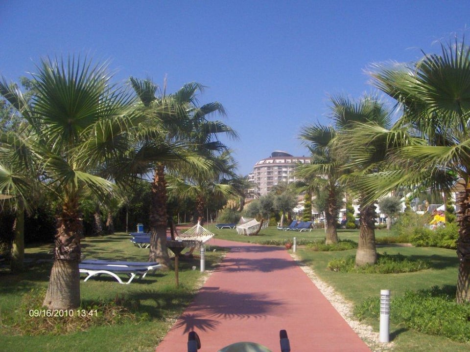 Ogród Saturn Palace Resort Hotel