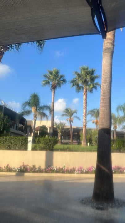 Gartenanlage TUI BLUE Palm Garden