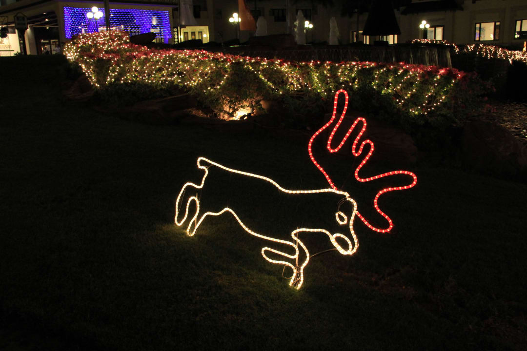 Weihnachtsdeko im Garten Steigenberger ALDAU Beach Hotel