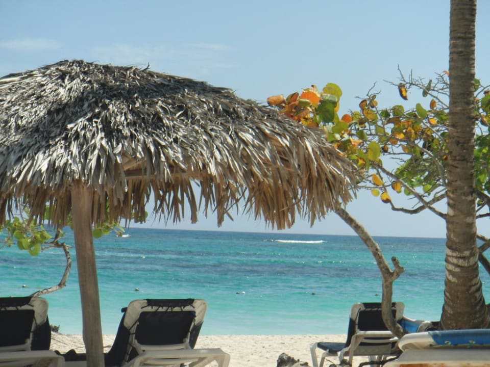 Paradies Hotel Grand Palladium Palace Resort, Spa & Casino