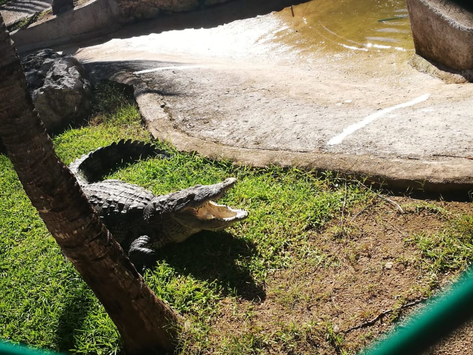 Sonstiges Grand Palladium Kantenah Resort & Spa