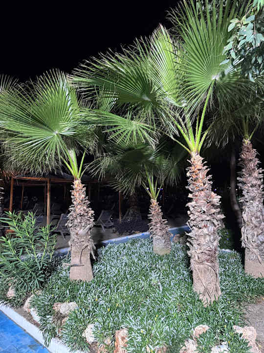 Gartenanlage Hotel Delphin Imperial