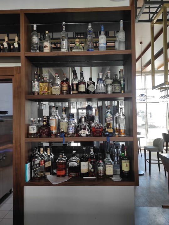 Gastro Acanthus Cennet Barut Collection