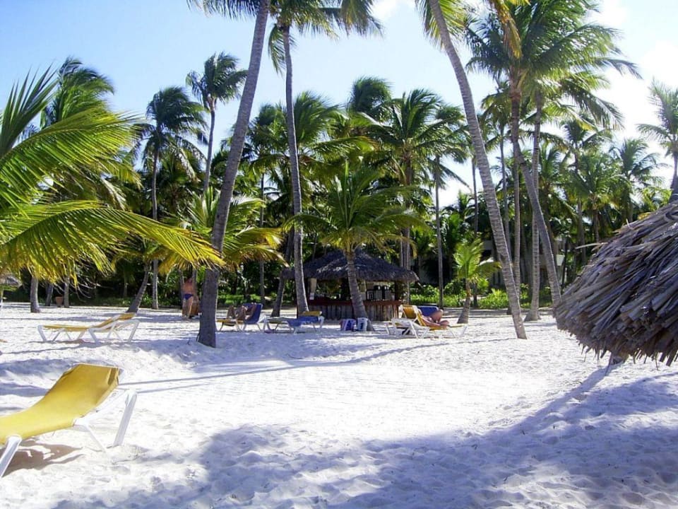 Traumhafter Strand Catalonia Punta Cana - All Inclusive