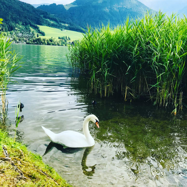 Ausblick Hotel Bellevue am See
