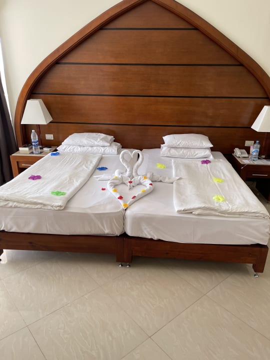 Zimmer ROBINSON SOMA BAY