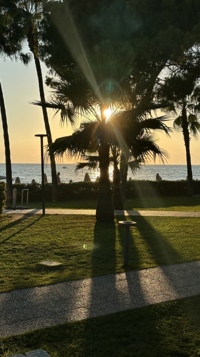 Ausblick Acanthus Cennet Barut Collection