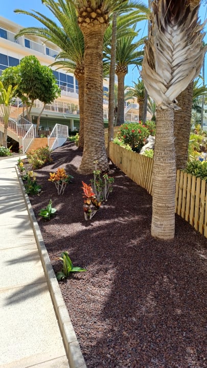 Gartenanlage Club Hotel Drago Park