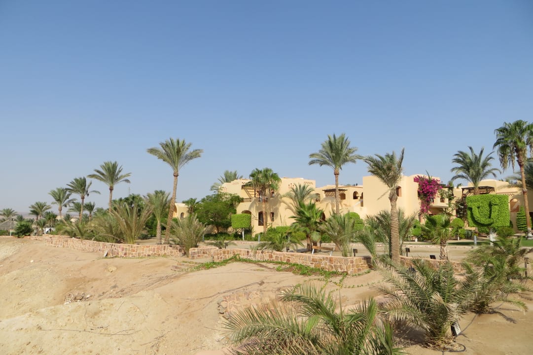 Gartenanlage Steigenberger Coraya Beach - Adults only