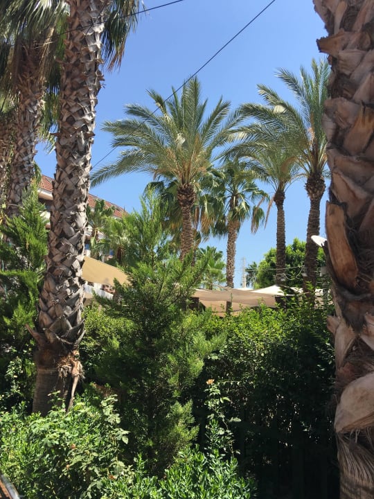 Schöne grüne Anlage Hane Family Resort