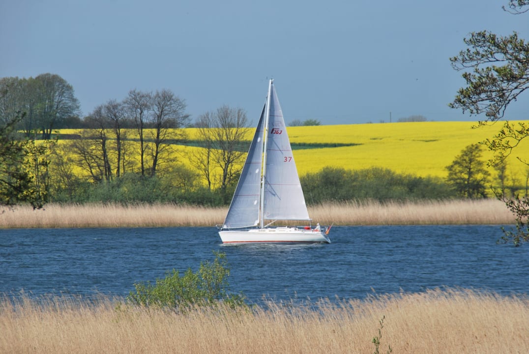 Vorbeiziehendes Segelboot direkt vor unserem Haus  Ferienhäuser Marina Hülsen