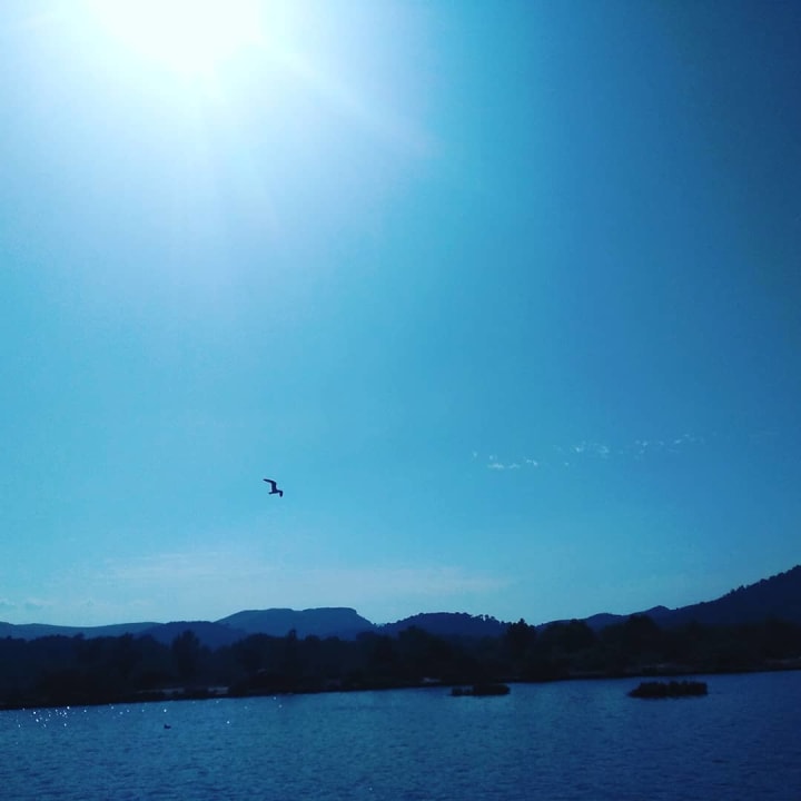 Ausblick VIVA Eden Lago