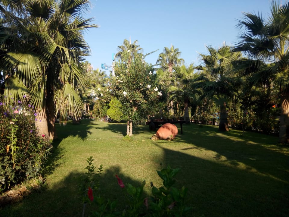 Wie im Paradies Saphir Resort & Spa