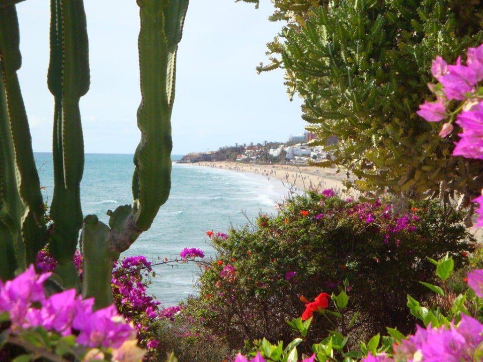 Hotelgarten mit Meerblick SBH Hotel Taro Beach