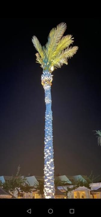 Gartenanlage Atlantica Aegean Blue