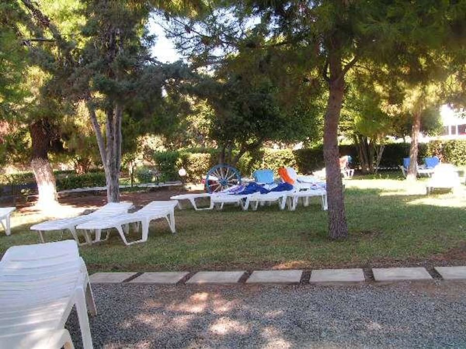 Gartenbereich direkt am Strand Brown Beach Eretria