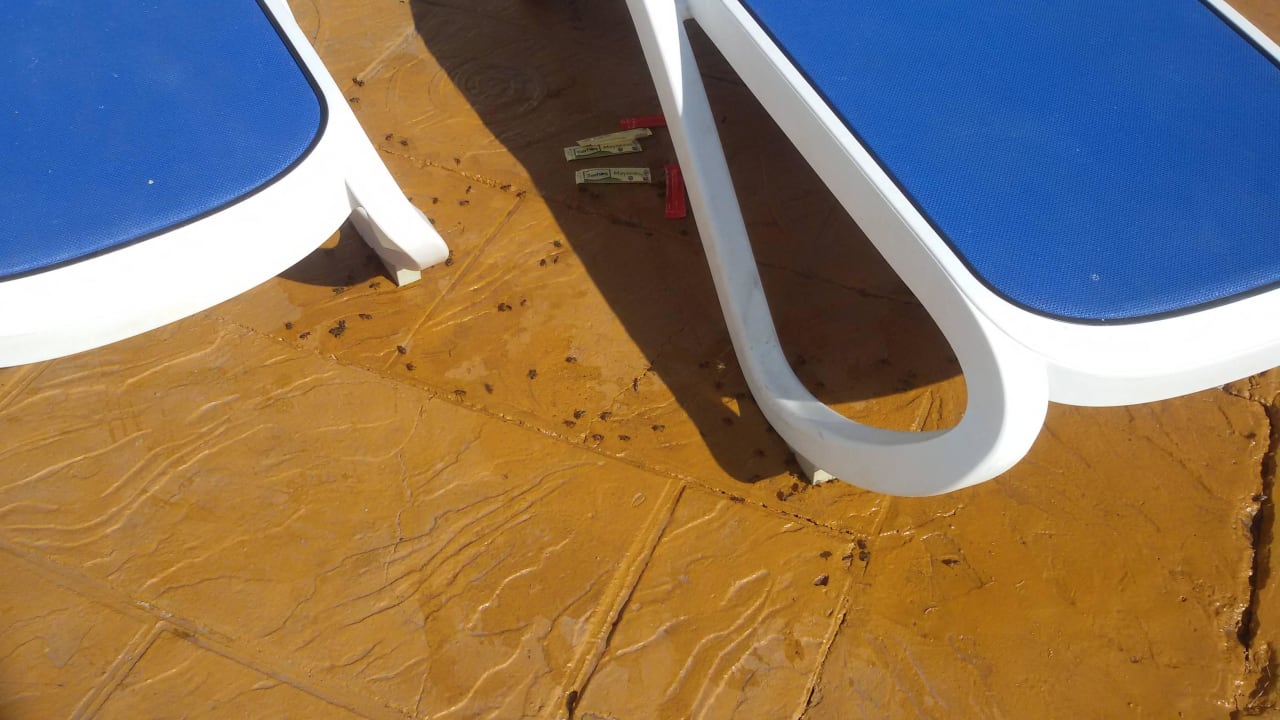 Splashworld Globales Bouganvilla