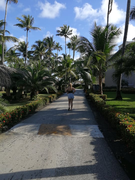 Garten Grand Palladium Select Bávaro Resort & Spa