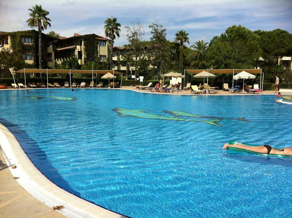 Gemütlicher Pool Bellis Deluxe Hotel