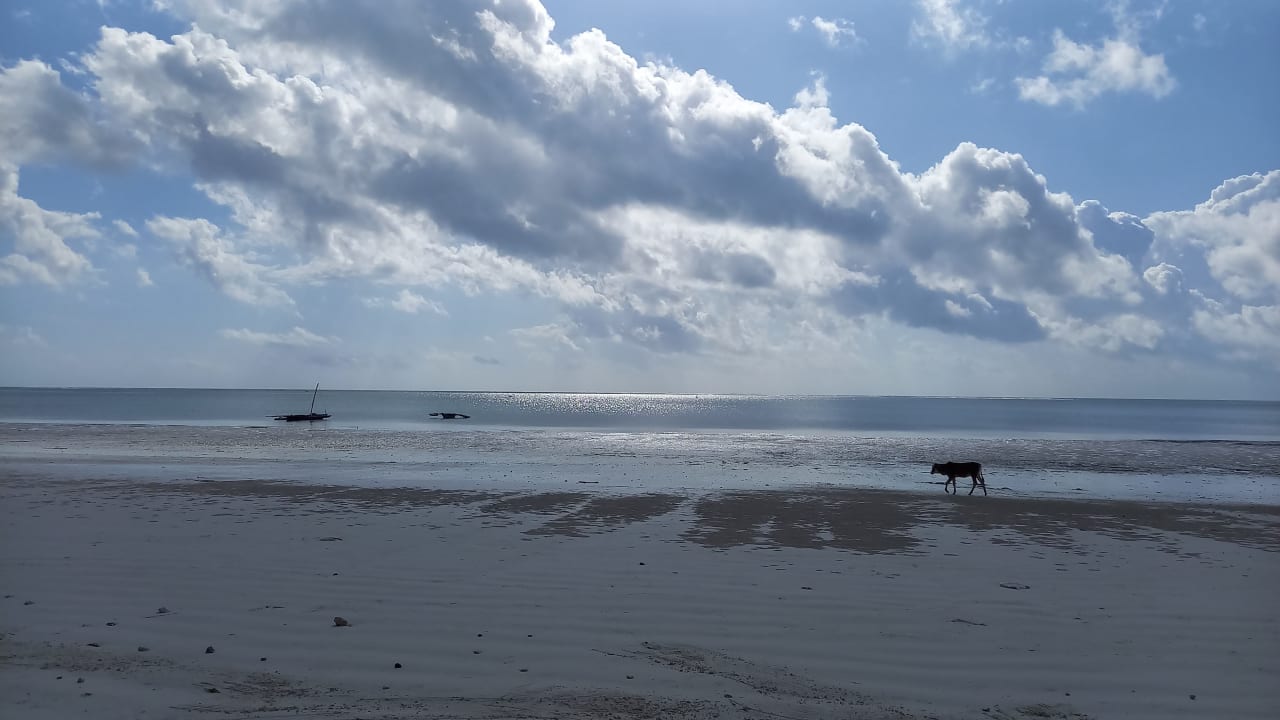 Strand Hotel Kiwengwa Beach Resort