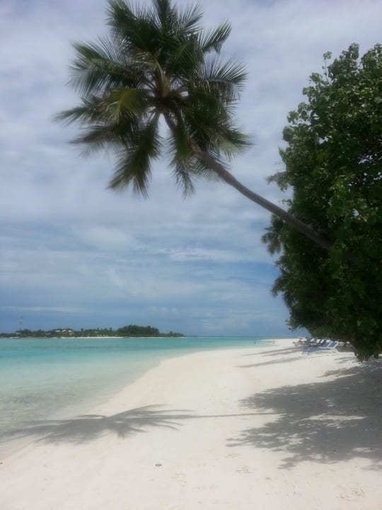 Strand bei 230 Bungi Meeru Maldives Resort Island