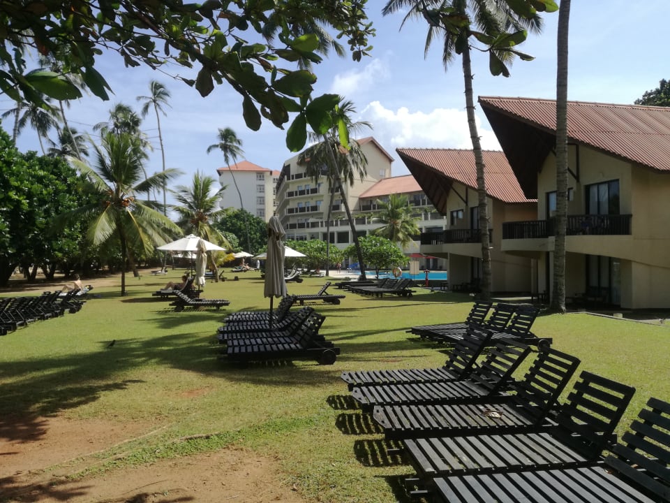 Gartenanlage Turyaa Kalutara
