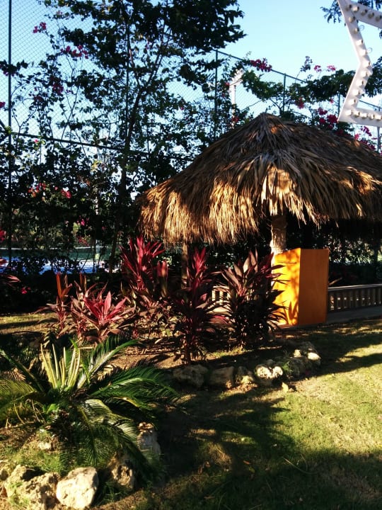 Garten Decameron Baru