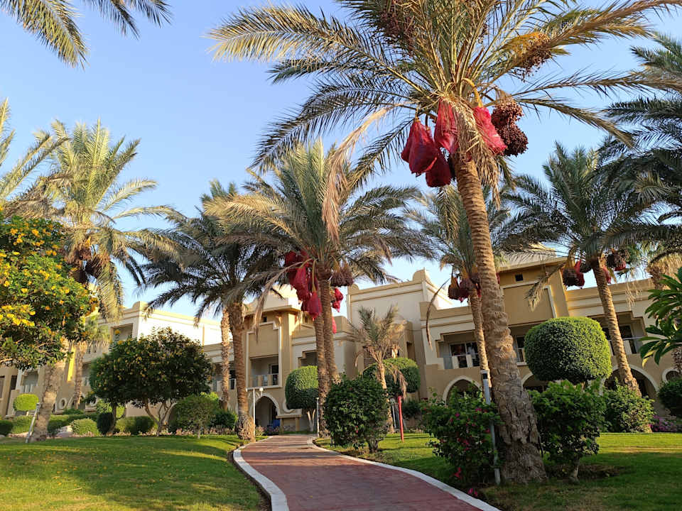 Gartenanlage Serenity Alpha Beach