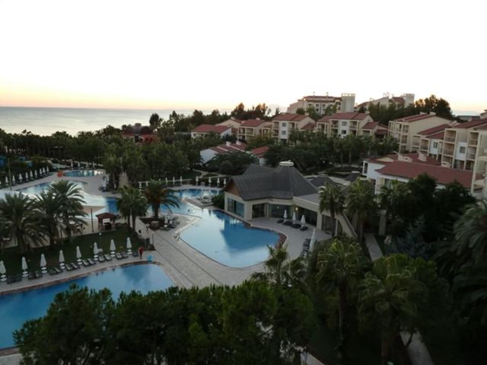 Arum Blick aus dem Zimmer Arum Barut Collection