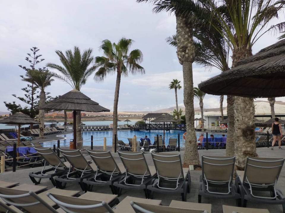 Hauptpool Barceló Fuerteventura Castillo
