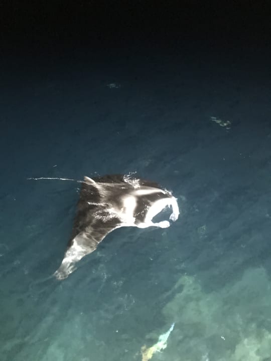 Sport & Freizeit Sun Siyam Olhuveli