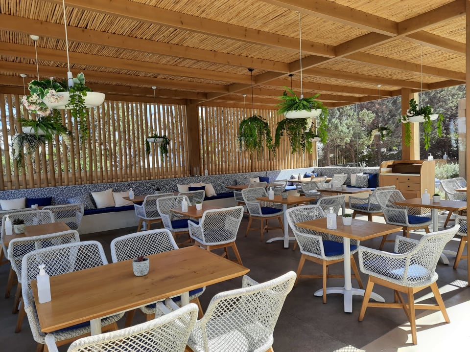 Gastro Sentido Kyknos Beach Adults Only 16+