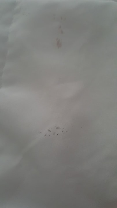 Zimmer Hotel Viva Dominicus Beach by Wyndham - All Inclusive Resort