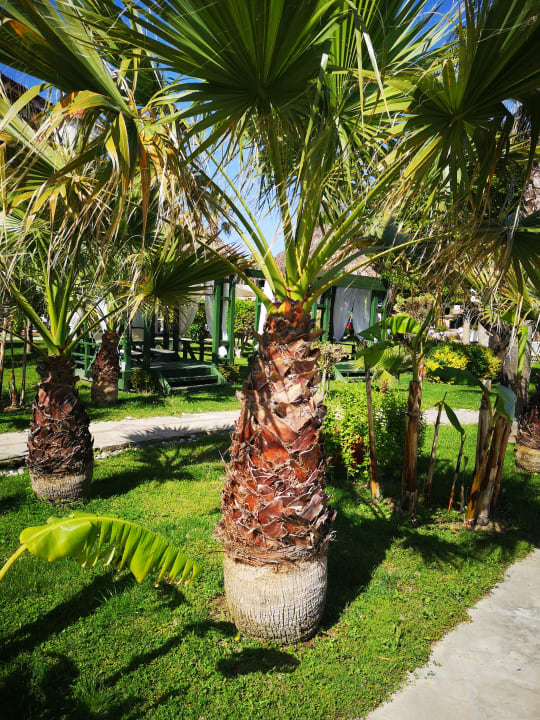 Gartenanlage Bella Resort & Spa