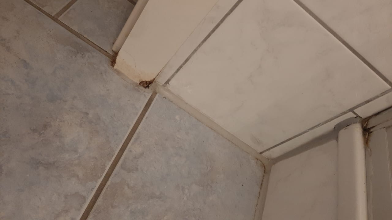 Zimmer Erbenholz Hotel