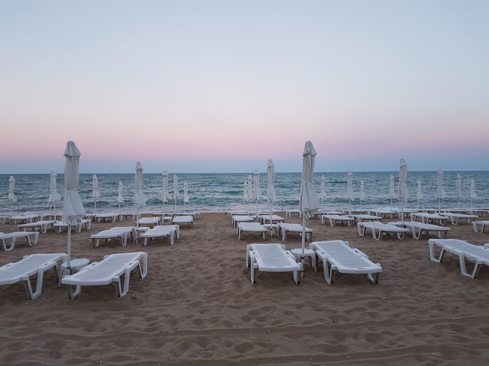 Strand Sentido Marea