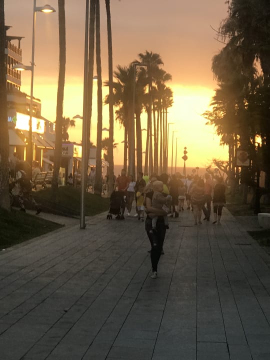 Ausblick Park Club Europe