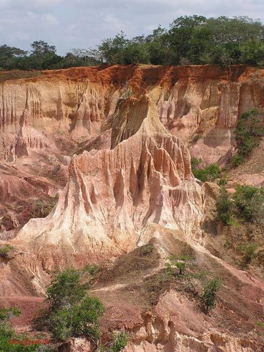 Hell's Kitchen 9 Hotel Traveller's Club