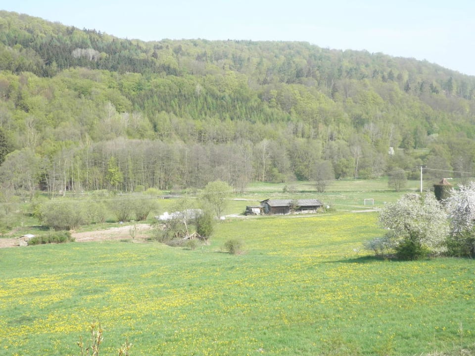 Welch schöner Ausblick Landhotel Weisses Ross garni