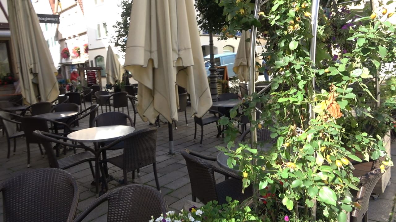 Gastro Hotel & Gasthof Traube