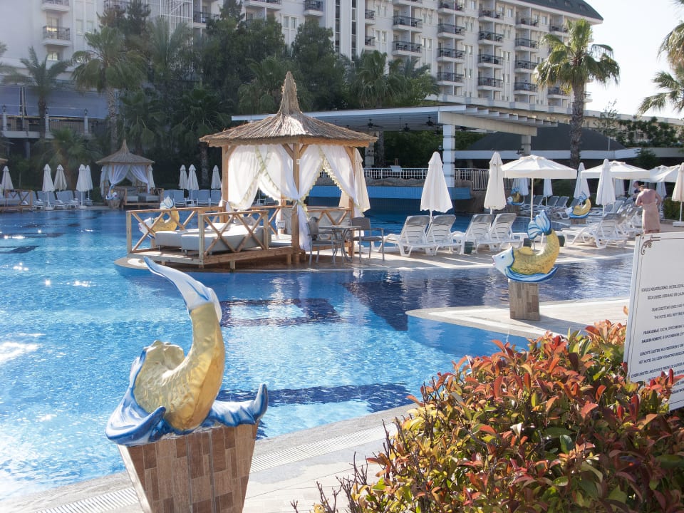 Pool Hotel Delphin Imperial