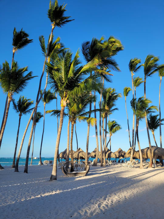 Strand Meliá Caribe Beach Resort-All Inclusive