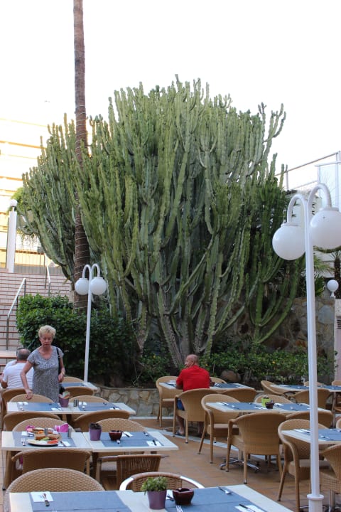 Außenbereich vom Restaurant HL Miraflor Suites Hotel